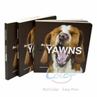 Kids Print On Demand China Factory Cheap Price Custom Children Kids Board Book Printing On Demand
