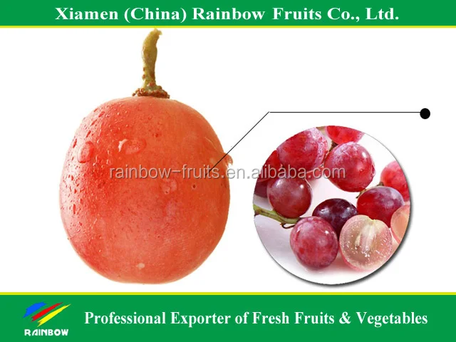 all industries agriculture fruit fresh fruit fresh grapes