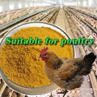 Corn Protein Feed High Protein Chicken Poultry Cattle Feed Corn Gluten Meal 60%