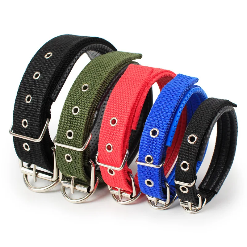 soft lined dog collar