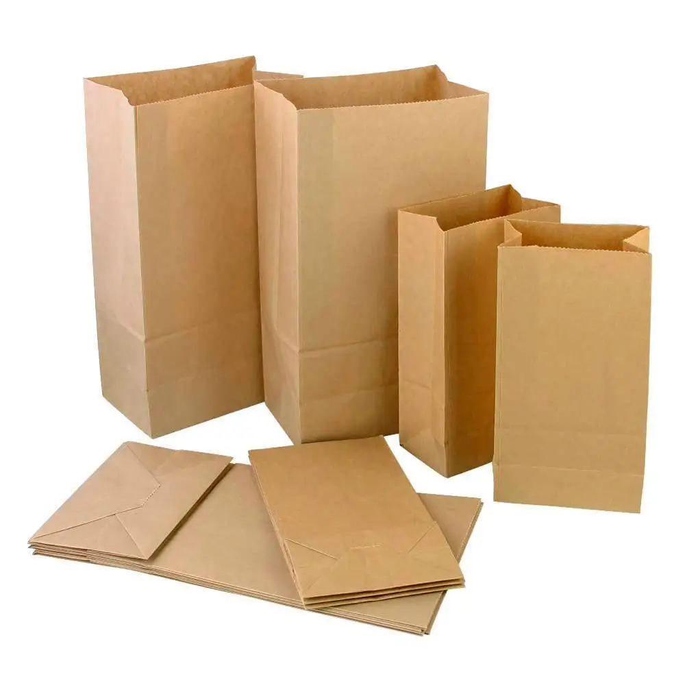 6 Packs AJM Brown Paper Lunch Bag Recyclable Biodegradable 240 Counts 