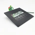Glass Family Office Common Electric Appliance Black Light Switch Glass