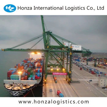 professional sea shipping to UAE/Dubai