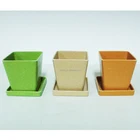 Small Square Biodegradable Bamboo Fiber Planters Bamboo Fibre Pots Great For Gifts And House Plants