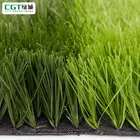 Grass Factory Artificial Grass Convienience W Shape Soccer Lawn Artificial Grass