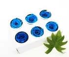 Roses Rose Rose Preserved Everlasting Roses Preserved Fresh Rose Real Natural Preserved Roses