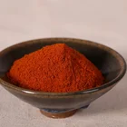Hot sale professional chilli spice manufacturer dried red chilli powder