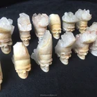 White Wholesale Natural Quartz Hand Carved Crystal Skull With White Cluster Hair For Sale
