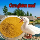 Corn Animal Feed Additives Companies Chemicals Feed Additives Yellow Corn Gluten Meal For Animal Feed Grade