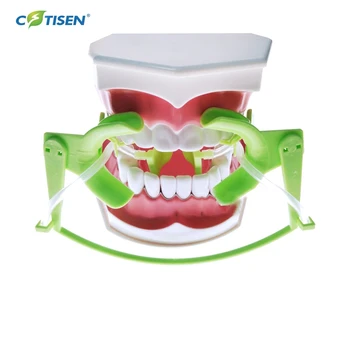 New Dental Consumables Silicone Mouth Retractor Tongue Guard Oral Orthodontics for Dry Field System Tubing