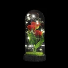 String Glass Glass Dome With Flowers Wholesale Led String Lights Glass Rose Flower Dome With Base