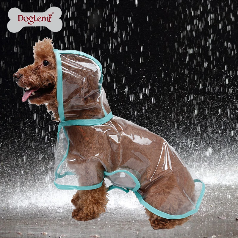 clear dog raincoat
