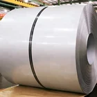 Steel Prime Prepainted Galvanized Steel Coil Coated High-strength Steel Plate Ppgi Coil BS ASTM AISI DIN JIS GB