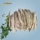 Bonito Tuna 7.5 Kg Vacuum Bag Auxis Thazard Skinless And Boneless Bonito Tuna Loins