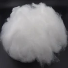 Polyfill High Quality Dupont Sorona Padding Fibre Wholesale Polyfill Stuffing