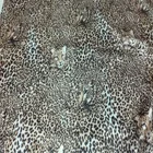 Printed Satin Printed Printed Satin China Wholesale 100% Polyester Soft Leopard Printed Satin