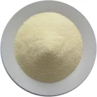 Powdered Garlic Garlic Powder Free Sample