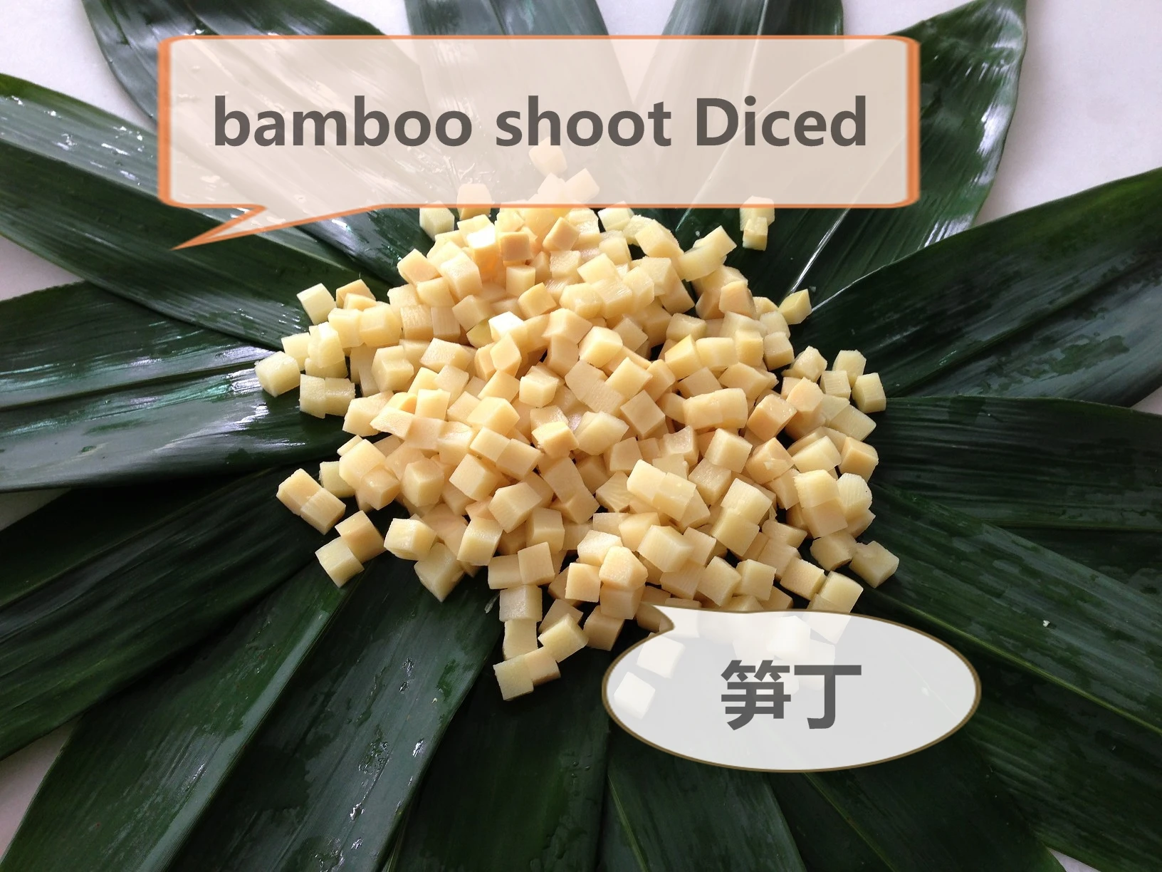 2021 new crop fresh canned bamboo shoots