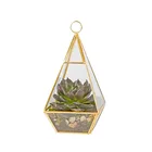 Plant Glass Glass Terrarium New Cheap Plant Glass Terrarium Copper For Home Decoration