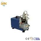 Air Pressure PCP Electrical Air Compressor For Airgun Paintball Refilling High Pressure 300Bar 4500psi 220V