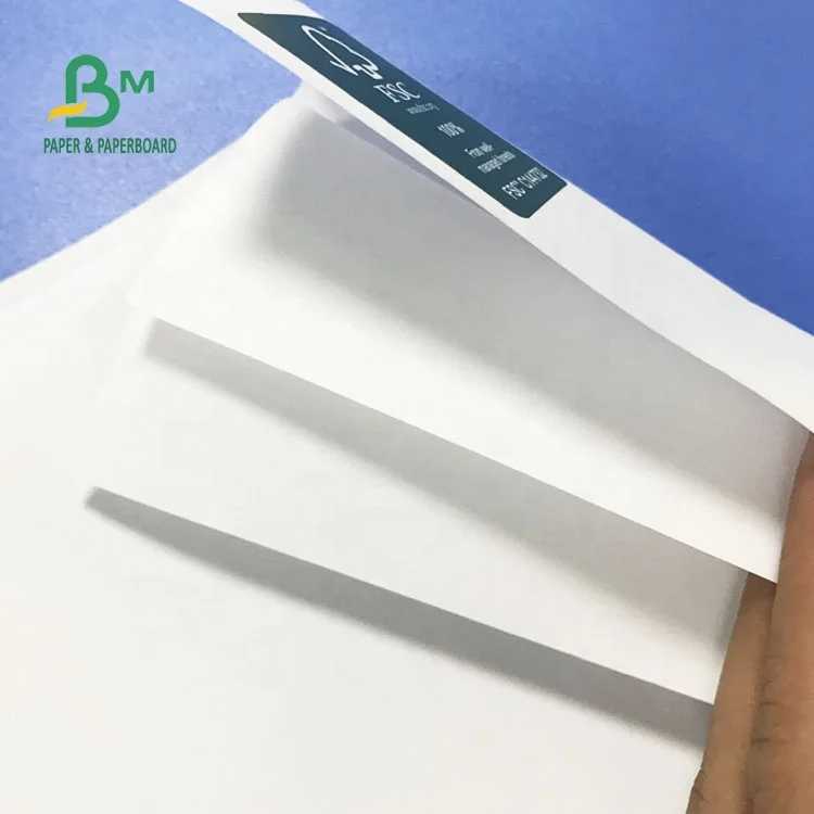 a1 size paper printing near me