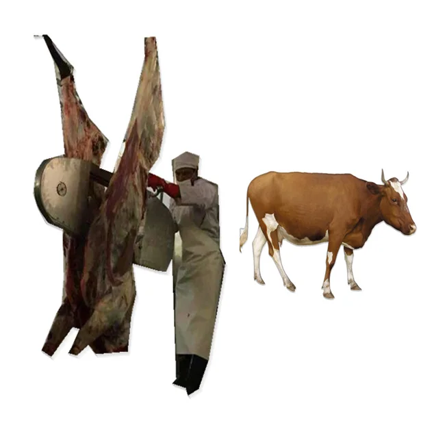 Cow Killing Cattle Skin Remove Machine Kill Box For Cattle Slaughterhouse -  Buy Cow Killing Machine,Kill Box For Cattle Slaughterhouse,Cattle Skin  Remove Product on 