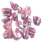 Rough Wholesale Pink Rough Tourmaline Mineral Specimens Natural Plum Blossom Tourmaline Healing Crystal Stone