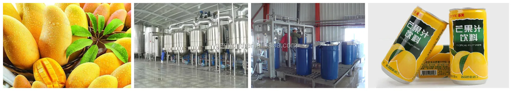 automatic Industrial Fruit apple pear peach pulping machine