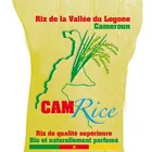 Cement Rice Flour Bag VietNam PP Woven Bag/Sack For50kg Cement Flour Rice Fertilizer Food Feed Sand