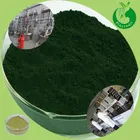 Natural Chlorophyll Powder Price Natural Green Pigment Pure Chlorophyll Powder Bulk
