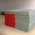 Judo IJF Certification Judo Mat /jujitsu Tatami For Martial Art 2019 Judo