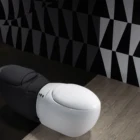 Family Ceramic Small Family Type Cistern - Less Pulse Electromagnetic Sitting Implement