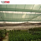 Green Shade Netting 100% Virgin Raw Material 50gsm 4x100m Green Sun Shade Net