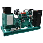 With Cummins engine Coal Natural Gas Generator 100kw