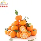 Orange Mandarin Baby Mandarin Orange / Nanfeng Orange /Fresh Mandarin Orange