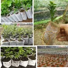 Pot Nursery Biodegradable Non Woven Fabrics Growing Plant Pot White Nursery Bag