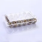 Plastic Egg Plasticegg Best Selling Wholesale Factory Price Clear Disposable Plastic Quail Egg Tray For Supermarket