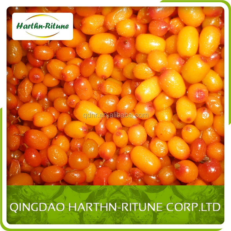 Wholesale Price IQF Frozen Fruits Bulk 10kg Frozen Sea Buckthorn manufacture
