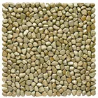 Pebble Paving Stone Gold Color Pebble Stone Tile Mosaic Paving Stone BN008J