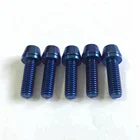 Titanium Cap DIN912 Titanium Screws M5 M6 M8 M10 Socket Head Cap Screws For Bicycle