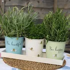 Plants Lovely Bee Pattern Mini Metal Herb Pots Flower Succulent Plants Pot With Galvanized Tray