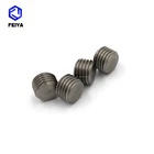 Set Screw Customized Nonstandard SUS303 Hex Socket Set Screw