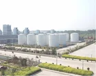 Chemical Concrete Precast Additives Industrial Sodium Gluconate Whiteness 80% Purity 98% Wanshan Chemical