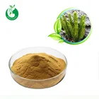 Natural Huperzia Serrata Plant Extract 1% 99% Huperzine A Powder