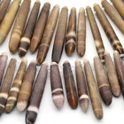 Sea Beads Gemstone Beads Luxury Irregular Shape Sea Urchin Spines Gemstone Loose Beads Size 10-15*60-85mm