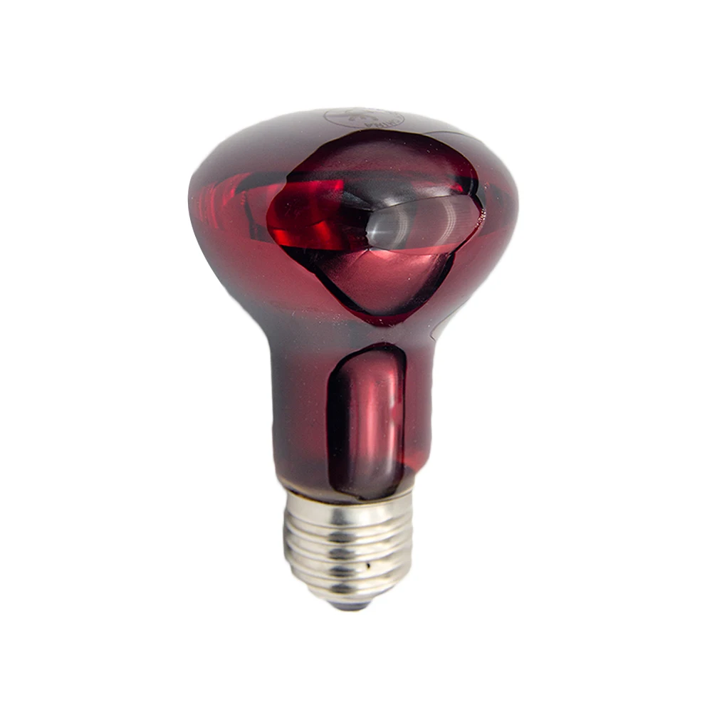 red reptile bulb