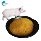 Corn Protein Feed High-Quality Hot Sale Non-Gmo Feed Grade Corn Protein Meal / Zein / Corn Gluten