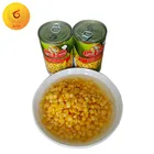 Canned Corn Canned Canned Corn Price 340g Canned Sweet Corn With Shrink Pack For Algeria