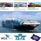 Drop Shipping Reliable Drop Shipping/Ali Express Agent From Shenzhen/Guangzhou To Canada FBA