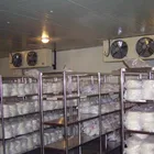 Frozen Storage Frozen Storage Cooling System Evaporator For Meat